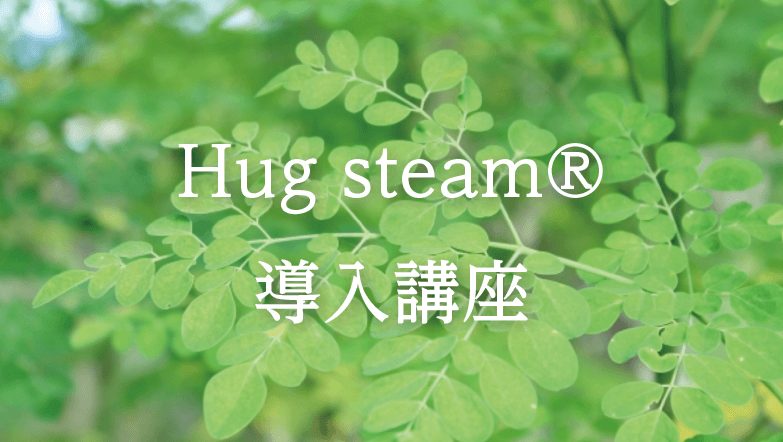 Hug steam 導入講座